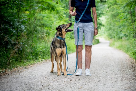 Eine Person mit einem Hund an der Leine auf einem Schotterweg in der Natur.
